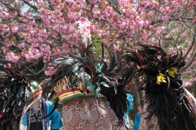 写真　除堀の獅子舞